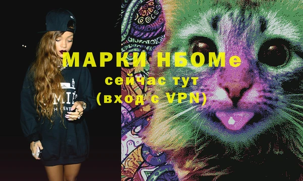 стафф Верхний Тагил