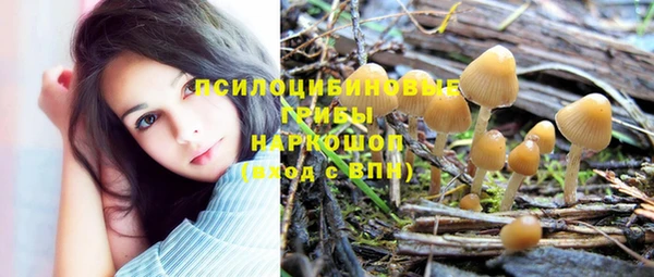 МДПВ Верхнеуральск